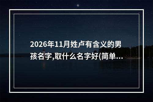 2026年11月姓卢有含义的男孩名字,取什么名字好(简单)