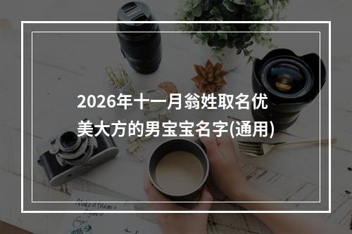 2026年十一月翁姓取名优美大方的男宝宝名字(通用)