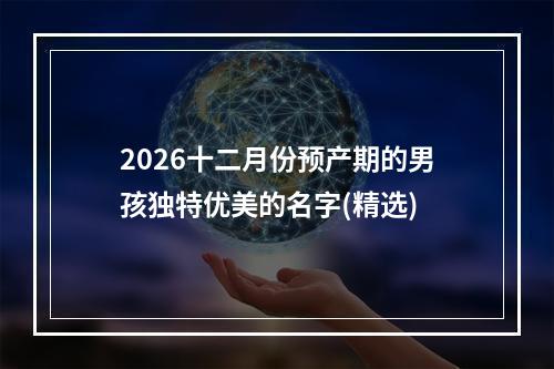 2026十二月份预产期的男孩独特优美的名字(精选)