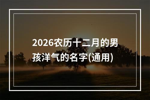 2026农历十二月的男孩洋气的名字(通用)