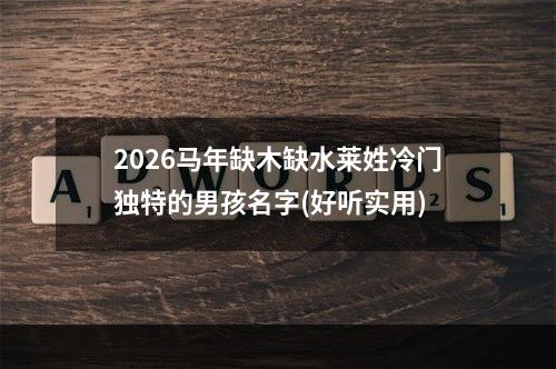 2026马年缺木缺水莱姓冷门独特的男孩名字(好听实用)