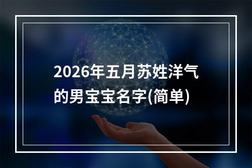 2026年五月苏姓洋气的男宝宝名字(简单)