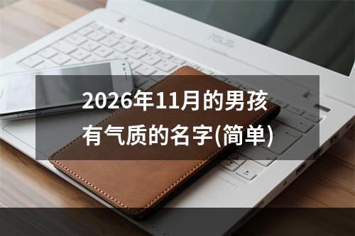2026年11月的男孩有气质的名字(简单)