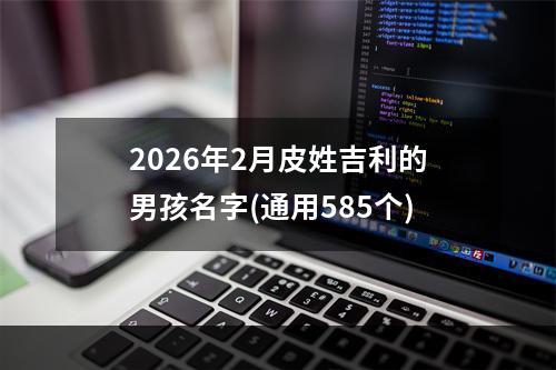 2026年2月皮姓吉利的男孩名字(通用585个)