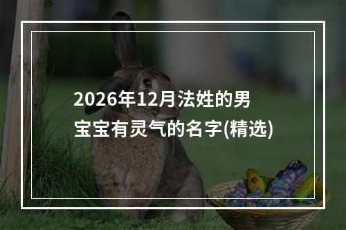 2026年12月法姓的男宝宝有灵气的名字(精选)