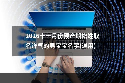 2026十一月份预产期松姓取名洋气的男宝宝名字(通用)