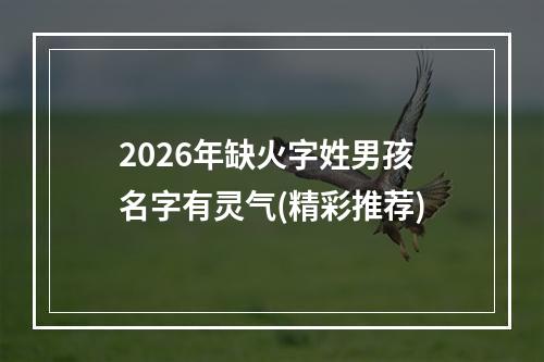 2026年缺火字姓男孩名字有灵气(精彩推荐)