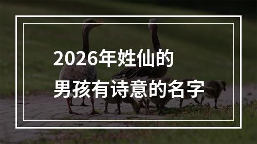 2026年姓仙的男孩有诗意的名字