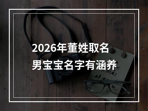 2026年董姓取名男宝宝名字有涵养