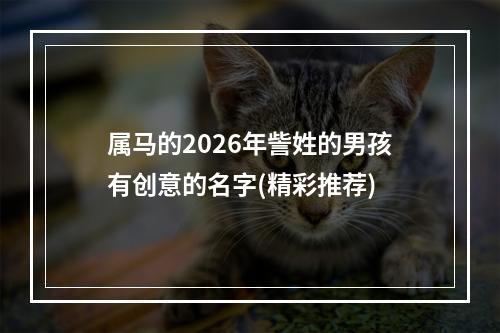 属马的2026年訾姓的男孩有创意的名字(精彩推荐)