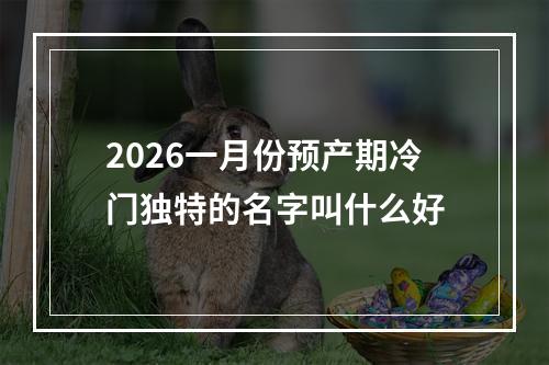 2026一月份预产期冷门独特的名字叫什么好