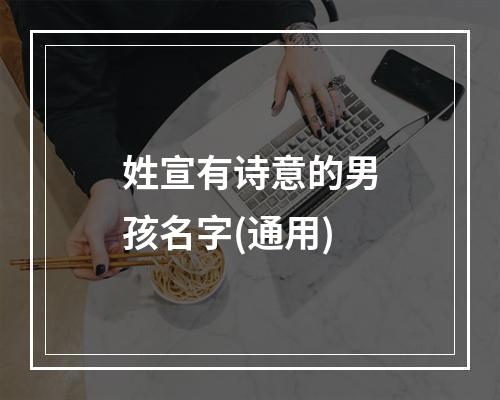 姓宣有诗意的男孩名字(通用)