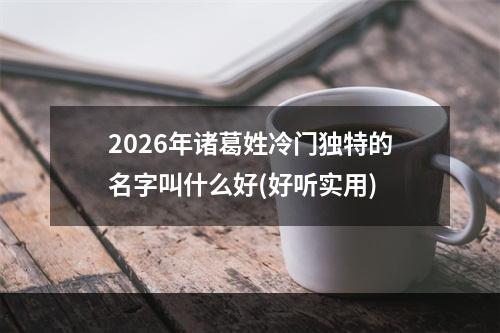 2026年诸葛姓冷门独特的名字叫什么好(好听实用)