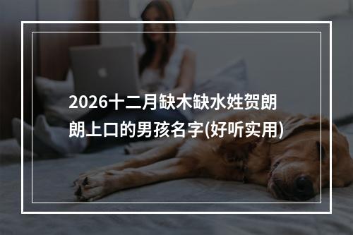 2026十二月缺木缺水姓贺朗朗上口的男孩名字(好听实用)
