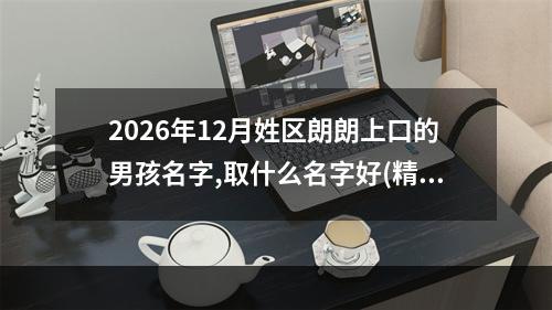 2026年12月姓区朗朗上口的男孩名字,取什么名字好(精选)