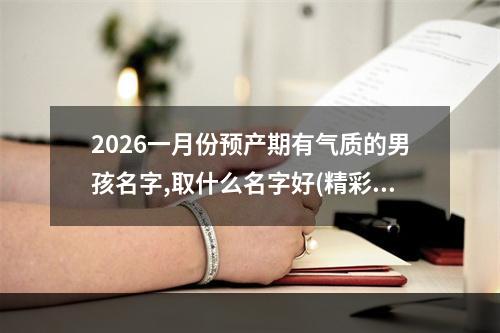 2026一月份预产期有气质的男孩名字,取什么名字好(精彩推荐)