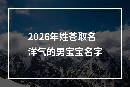 2026年姓苍取名洋气的男宝宝名字