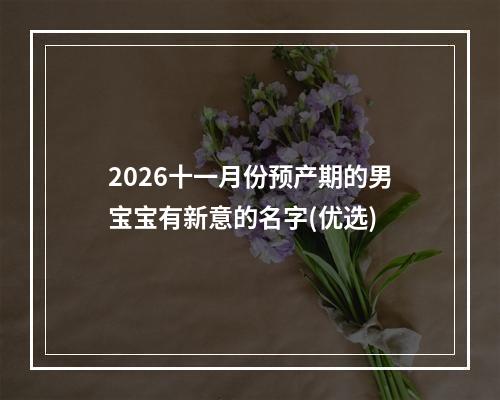 2026十一月份预产期的男宝宝有新意的名字(优选)