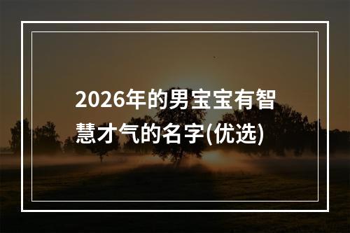 2026年的男宝宝有智慧才气的名字(优选)