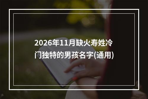 2026年11月缺火寿姓冷门独特的男孩名字(通用)