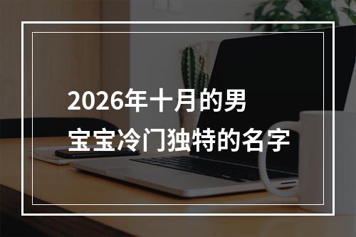 2026年十月的男宝宝冷门独特的名字
