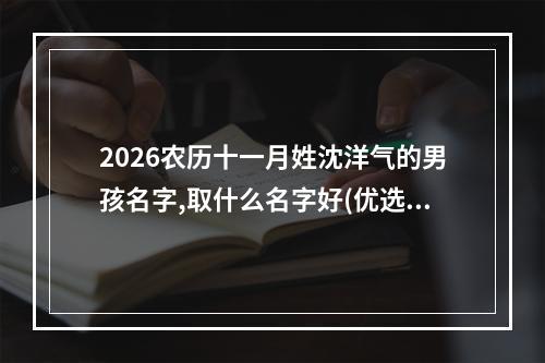 2026农历十一月姓沈洋气的男孩名字,取什么名字好(优选)