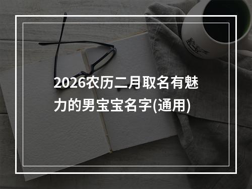 2026农历二月取名有魅力的男宝宝名字(通用)