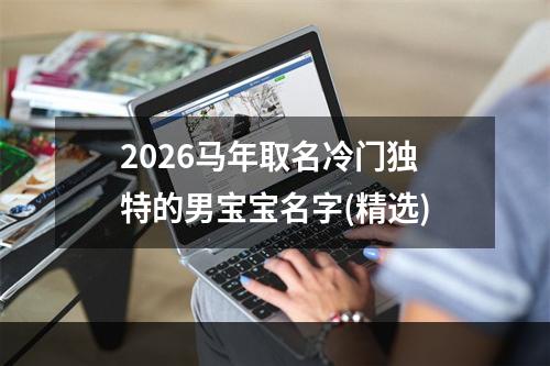 2026马年取名冷门独特的男宝宝名字(精选)