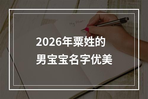 2026年粟姓的男宝宝名字优美