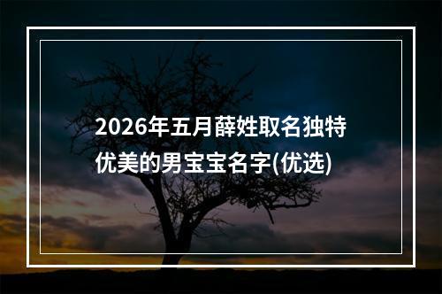 2026年五月薛姓取名独特优美的男宝宝名字(优选)