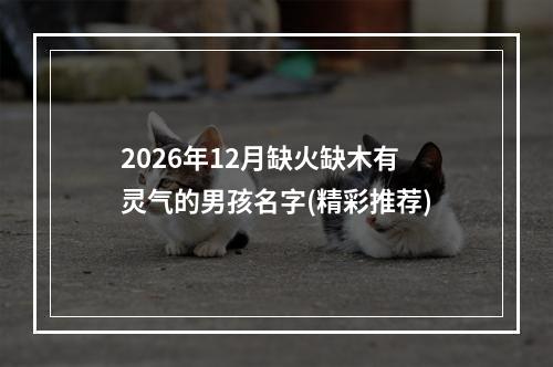 2026年12月缺火缺木有灵气的男孩名字(精彩推荐)