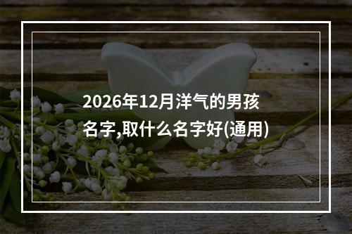 2026年12月洋气的男孩名字,取什么名字好(通用)