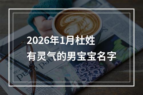 2026年1月杜姓有灵气的男宝宝名字