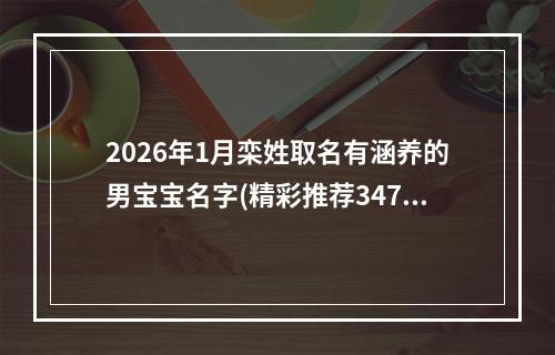2026年1月栾姓取名有涵养的男宝宝名字(精彩推荐347个)
