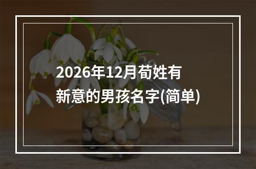 2026年12月荀姓有新意的男孩名字(简单)