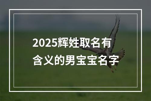 2025辉姓取名有含义的男宝宝名字