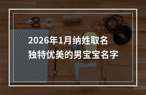 2026年1月纳姓取名独特优美的男宝宝名字