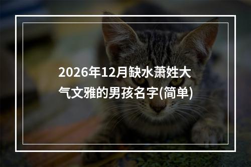 2026年12月缺水萧姓大气文雅的男孩名字(简单)