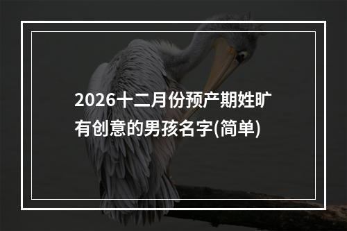 2026十二月份预产期姓旷有创意的男孩名字(简单)