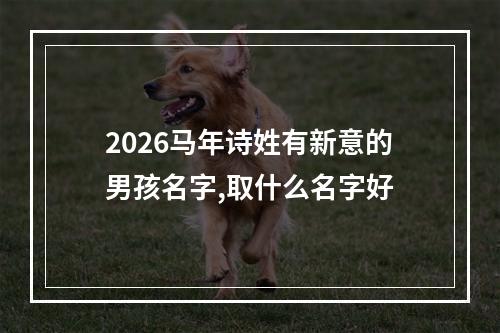 2026马年诗姓有新意的男孩名字,取什么名字好