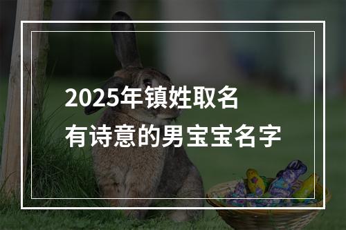 2025年镇姓取名有诗意的男宝宝名字