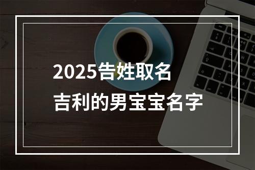 2025告姓取名吉利的男宝宝名字