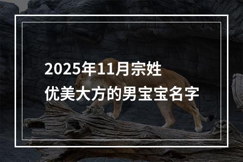 2025年11月宗姓优美大方的男宝宝名字