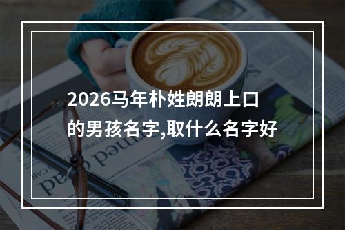 2026马年朴姓朗朗上口的男孩名字,取什么名字好