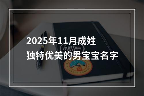 2025年11月成姓独特优美的男宝宝名字