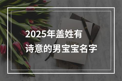 2025年盖姓有诗意的男宝宝名字