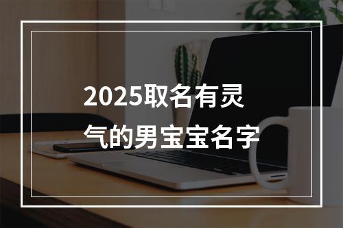 2025取名有灵气的男宝宝名字