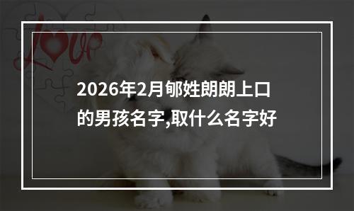 2026年2月郇姓朗朗上口的男孩名字,取什么名字好