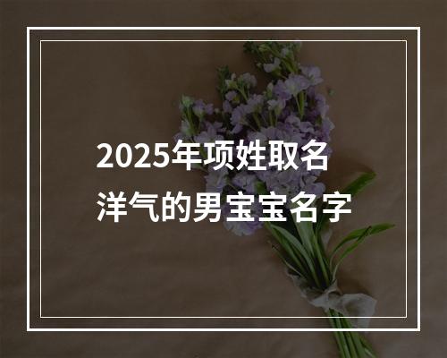 2025年项姓取名洋气的男宝宝名字