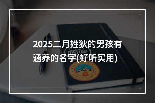 2025二月姓狄的男孩有涵养的名字(好听实用)